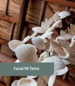Facial Mi Tierra