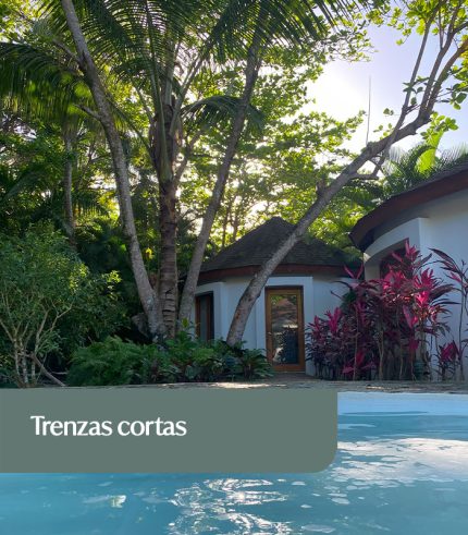 Trenzas cortas