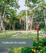 Depilación de espalda