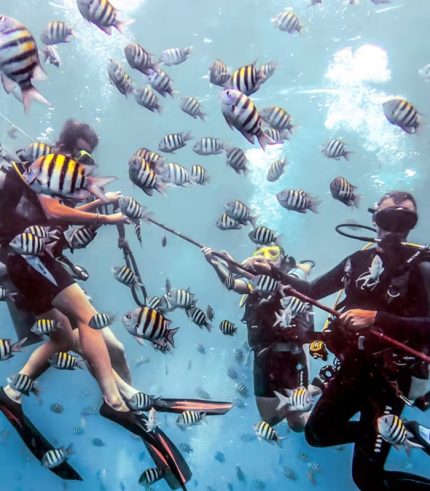 Buceo con certificacion