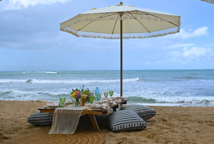 Picnic en la playa