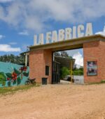 TOUR DE CAFÉ Y CAMPO – LAS TERRENAS