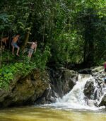 AVENTURA EN LA JUNGLA - Image 2