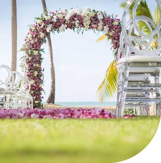 Bodas